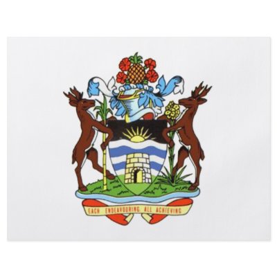 Antigua and Barbuda Coat of Arms Custom Flyer by flagshirts