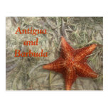 Antigua and Barbuda Starfish Postcard