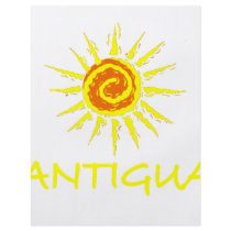 Antigua Custom Flyer