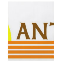 Antigua Flyer
