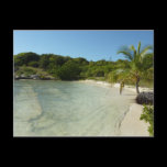 Antiguan Beach Postcard
