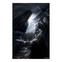 Antipodal evolution posters