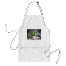Antipodes Island Parakeet Apron