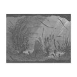 Antique aquarium print seahorses fishes post cards