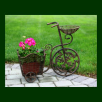 Antique Bicycle Flower Container Poster posters