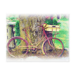 Antique Bike with Flower Basket Postcard