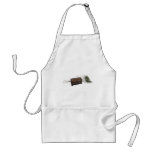 Antique Box and Feathers Aprons
