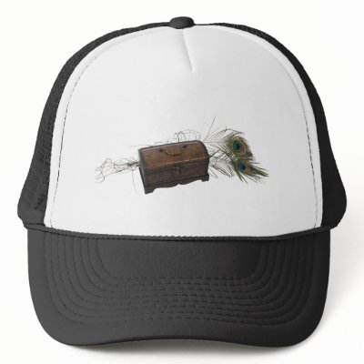Antique Box and Feathers Trucker Hat by ShroudedLake