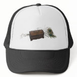 Antique Box and Feathers hats