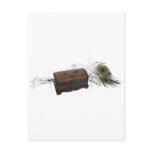Antique Box and Feathers Postcard
