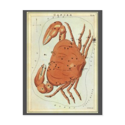 Antique Cancer, the Crab, Signs of the Zodiac Postcards