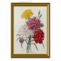 Antique Carnations In A Golden Frame card
