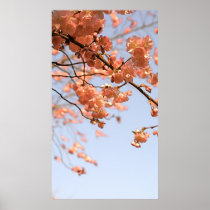 Antique Cherry Blossoms Poster