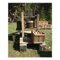 Antique Cider Press