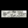 Antique Cryptozoology Bumper Sticker