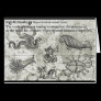 Antique Cryptozoology Card