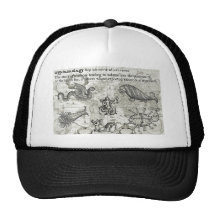 Antique Cryptozoology Hat