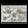 Antique Cryptozoology Postcards