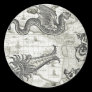 Antique Cryptozoology Sticker