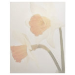 Antique Daffodils Customized Letterhead