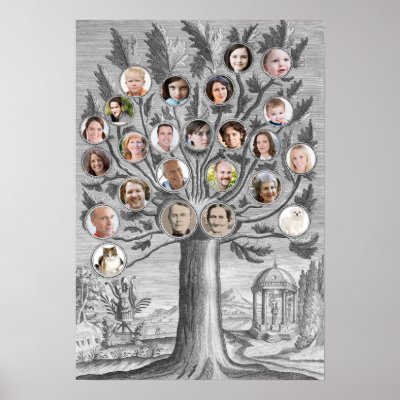 Antique Family Tree Insert Your Own Names & Photos Poster by AntiqueImages