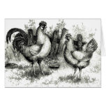 Antique Farming Scene Rooster and Hen Card
