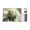 Antique Flowers Postage Stamps