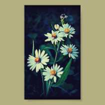 Antique Flowers posters