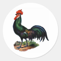 Antique Green Feathers Rooster Round Stickers