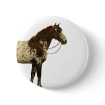 Antique Horses - Appaloosa buttons