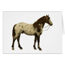 Antique Horses - Appaloosa cards