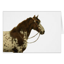 Antique Horses - Appaloosa cards