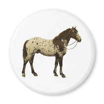 Antique Horses - Appaloosa Magnet