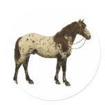 Antique Horses - Appaloosa Round Stickers
