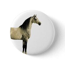Antique Horses - Arabian Buttons