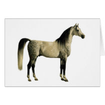 Antique Horses - Arabian Cards