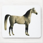 Antique Horses - Arabian Mouse Pads