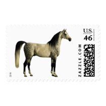 Antique Horses - Arabian Stamp