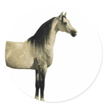 Antique Horses - Arabian Round Stickers