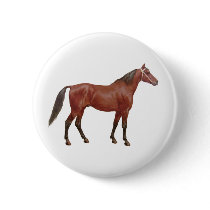 Antique Horses - Thoroughbred buttons