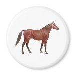 Antique Horses - Thoroughbred Refrigerator Magnet