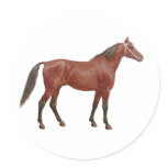 Antique Horses - Thoroughbred Sticker