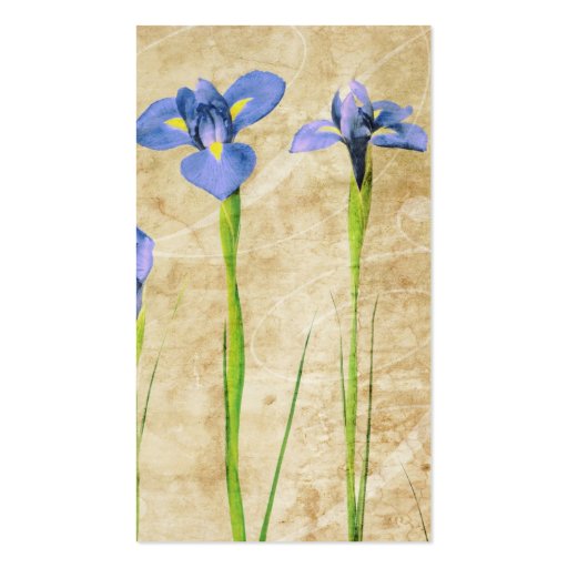 Antique Irises - Vintage Iris Background Customize Business Card (front side)