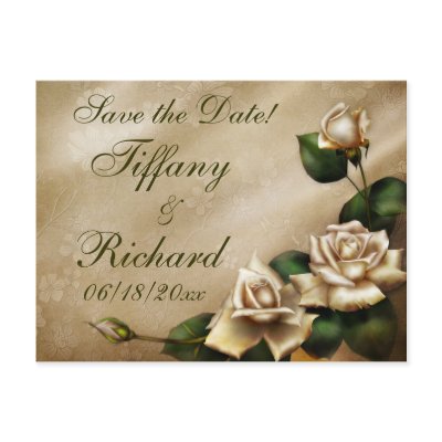 Antique Ivory Rose Post Card by SweetRascal