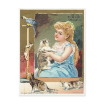 antique kitten postcards