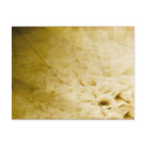 Antique Letter Postcard by dearlydeparted Antique Letter Postcard