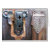 antique, trunk, lock, half, moon, bay, still,