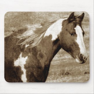 Antique Looking Paint Mare Mouse Pads