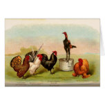 antique Louis P. Graham Bantams Poultry Greeting Cards