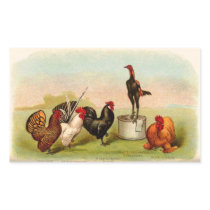 antique Louis P. Graham Bantams Poultry Stickers
